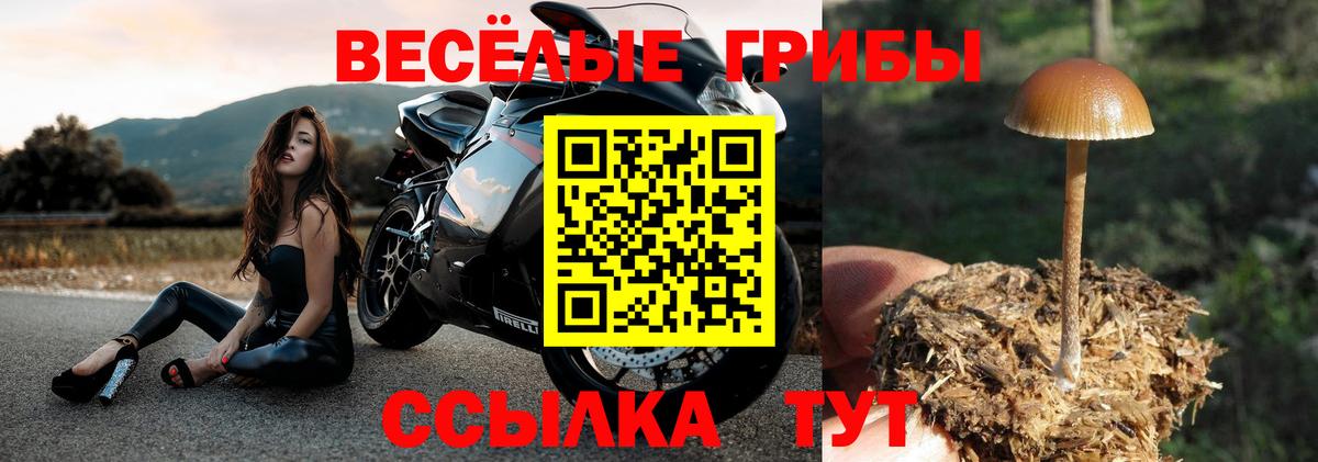 Галлюциногенные грибы Cubensis  Вход с VPN  Муравленко  где продают   Галлюциногенные грибы прущие грибы 
