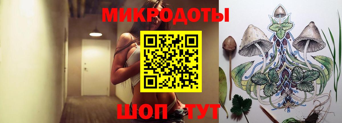 Псилоцибиновые грибы Psilocybine cubensis Муравленко